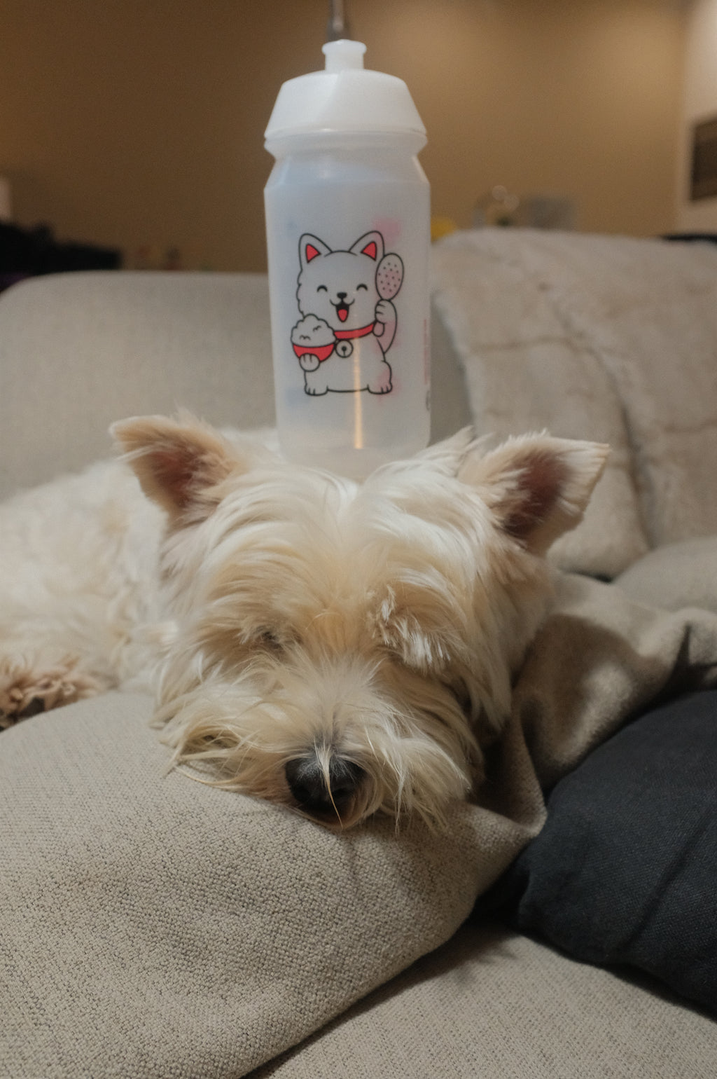 Lucky Dog Bidon